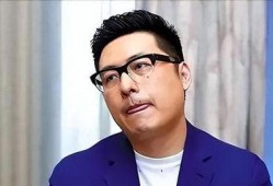 王岳伦爆料娱乐圈事件,揭秘明星背后的真实故事